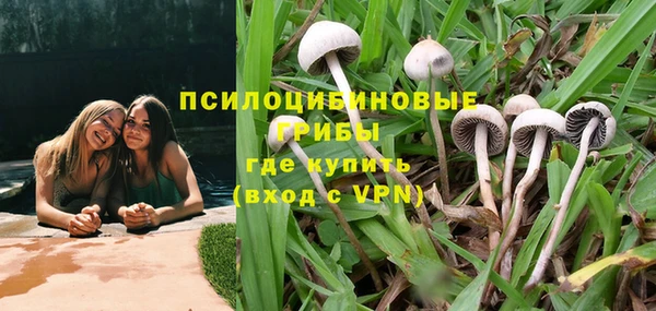 PSILOCYBIN Арсеньев