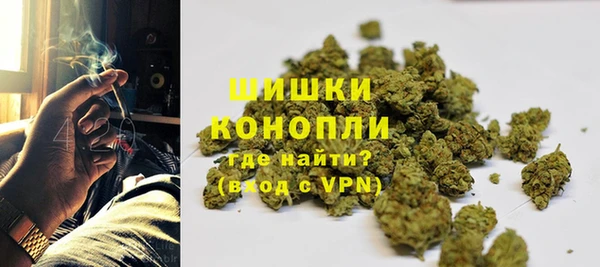 PSILOCYBIN Арсеньев