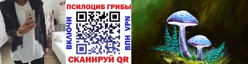 Псилоцибиновые грибы мухоморы  MEGA ССЫЛКА  Сретенск 